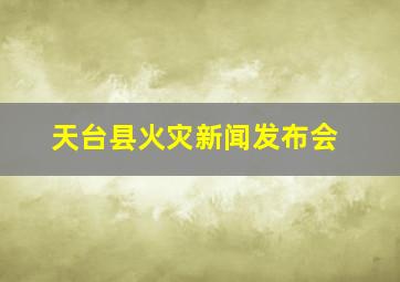 天台县火灾新闻发布会