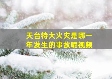 天台特大火灾是哪一年发生的事故呢视频