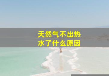 天然气不出热水了什么原因