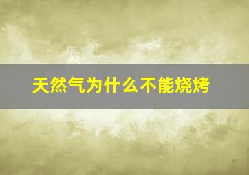 天然气为什么不能烧烤