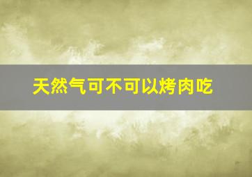 天然气可不可以烤肉吃