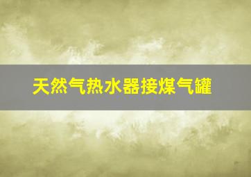 天然气热水器接煤气罐