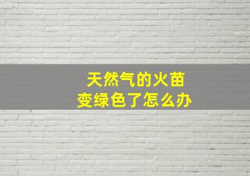 天然气的火苗变绿色了怎么办