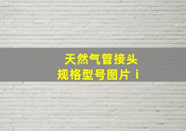 天然气管接头规格型号图片ⅰ