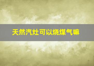 天然汽灶可以烧煤气嘛