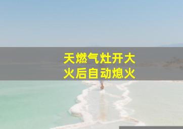 天燃气灶开大火后自动熄火