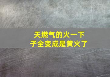 天燃气的火一下子全变成是黄火了