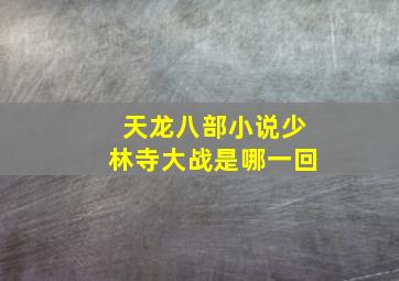 天龙八部小说少林寺大战是哪一回