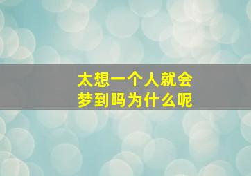 太想一个人就会梦到吗为什么呢