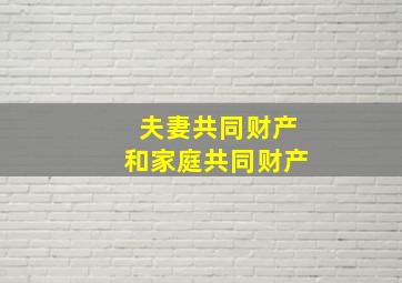 夫妻共同财产和家庭共同财产