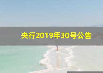 央行2019年30号公告