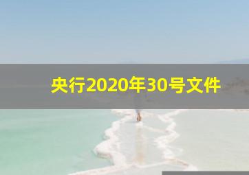 央行2020年30号文件