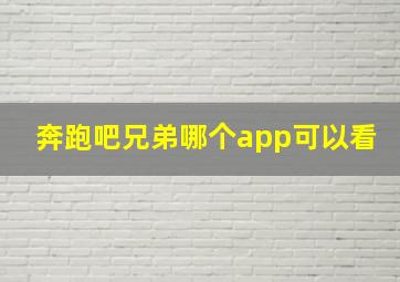 奔跑吧兄弟哪个app可以看