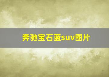 奔驰宝石蓝suv图片