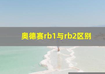 奥德赛rb1与rb2区别