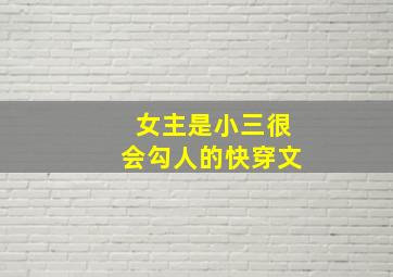 女主是小三很会勾人的快穿文