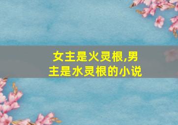 女主是火灵根,男主是水灵根的小说