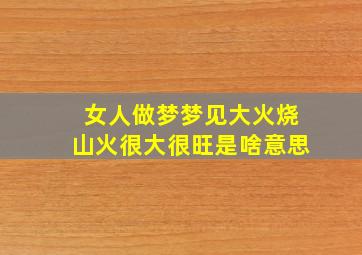 女人做梦梦见大火烧山火很大很旺是啥意思