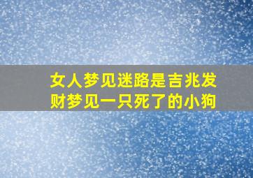 女人梦见迷路是吉兆发财梦见一只死了的小狗