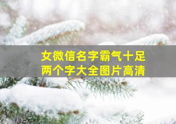 女微信名字霸气十足两个字大全图片高清