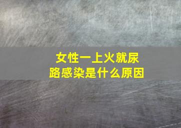 女性一上火就尿路感染是什么原因