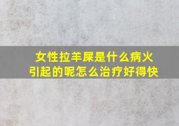 女性拉羊屎是什么病火引起的呢怎么治疗好得快