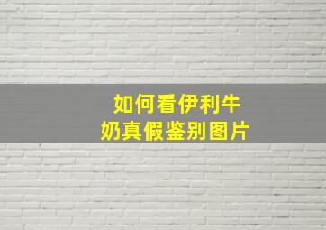 如何看伊利牛奶真假鉴别图片