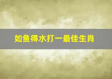 如鱼得水打一最佳生肖