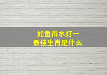 如鱼得水打一最佳生肖是什么