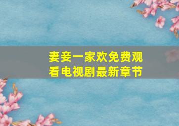 妻妾一家欢免费观看电视剧最新章节