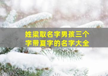 姓梁取名字男孩三个字带夏字的名字大全