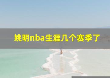 姚明nba生涯几个赛季了