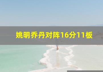 姚明乔丹对阵16分11板