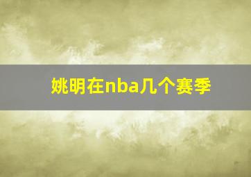 姚明在nba几个赛季