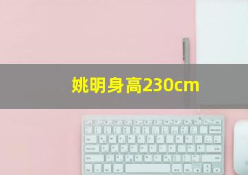 姚明身高230cm