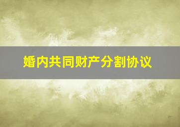 婚内共同财产分割协议