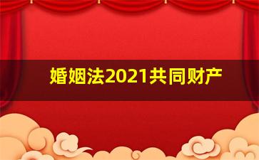 婚姻法2021共同财产