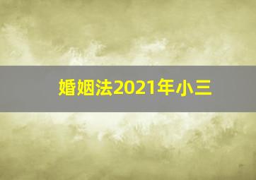 婚姻法2021年小三