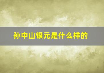 孙中山银元是什么样的