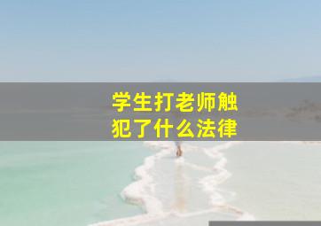 学生打老师触犯了什么法律