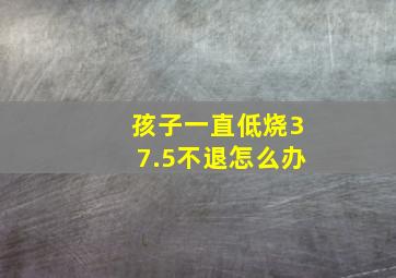 孩子一直低烧37.5不退怎么办