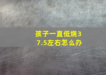 孩子一直低烧37.5左右怎么办