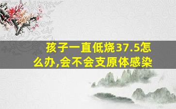 孩子一直低烧37.5怎么办,会不会支原体感染