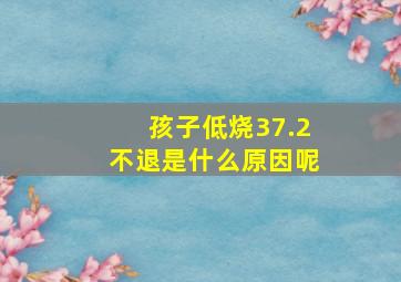 孩子低烧37.2不退是什么原因呢