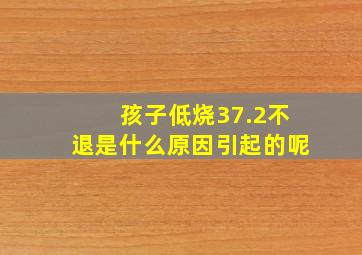 孩子低烧37.2不退是什么原因引起的呢