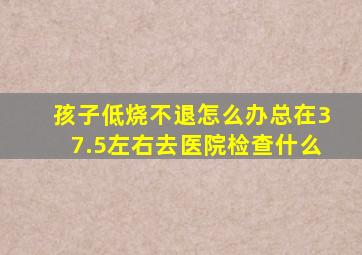 孩子低烧不退怎么办总在37.5左右去医院检查什么