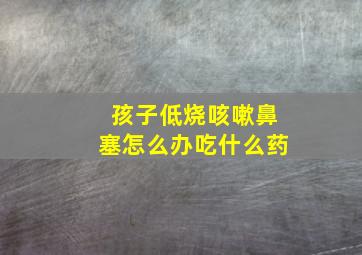 孩子低烧咳嗽鼻塞怎么办吃什么药