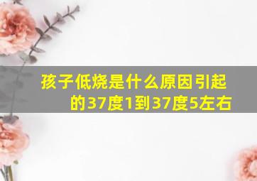 孩子低烧是什么原因引起的37度1到37度5左右