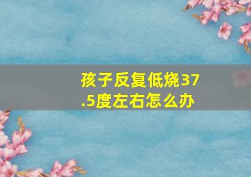 孩子反复低烧37.5度左右怎么办