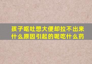 孩子呕吐想大便却拉不出来什么原因引起的呢吃什么药